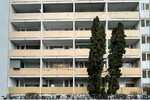 Sichere Rendite: Vermietetes Apartment im beliebten München-Pasing - Etagenwohnung München Am Westbad | Angebot:25979820