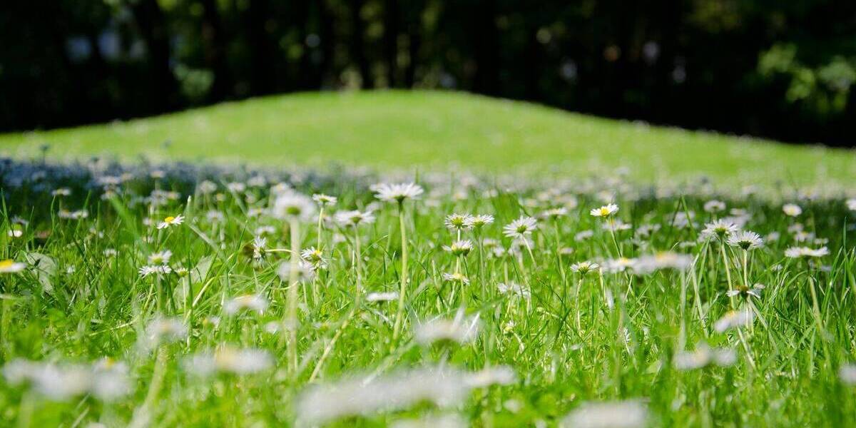 Grundstück München Trudering-Riem - 695.000&euro; | Angebot:26091830