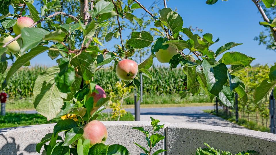 Erdgeschoßwohnung Putzbrunn - 4 Zimmer, 110 m&sup2;, 2.290&euro; | Angebot:23739921