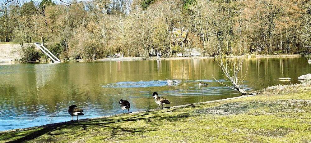 Etagenwohnung München Laim - 3 Zimmer, 79 m&sup2;, 569.000&euro; | Angebot:25716378