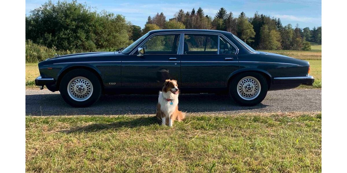 Jaguar Daimler 135.000 km 19.900 &euro; Feldafing 82340