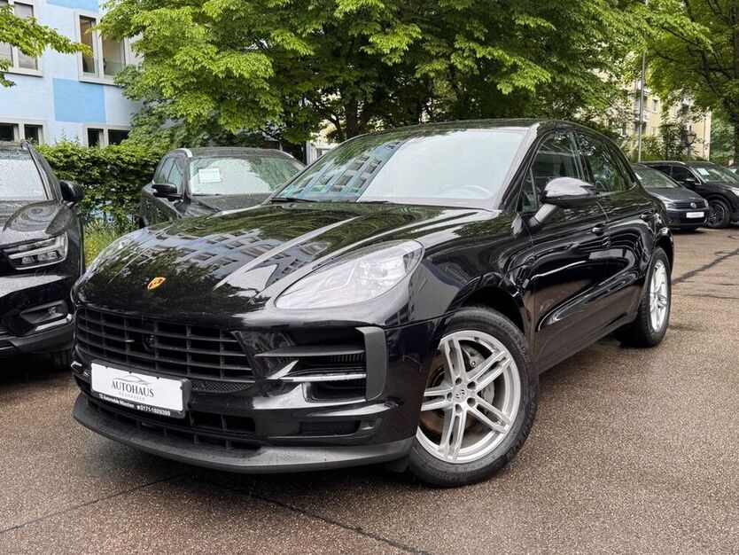 Macan