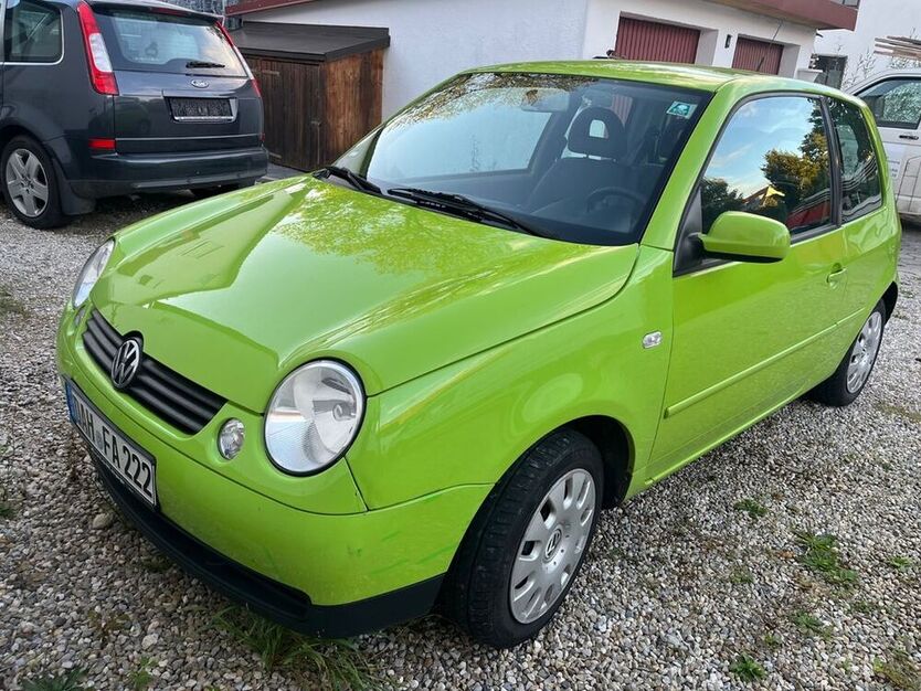 Lupo