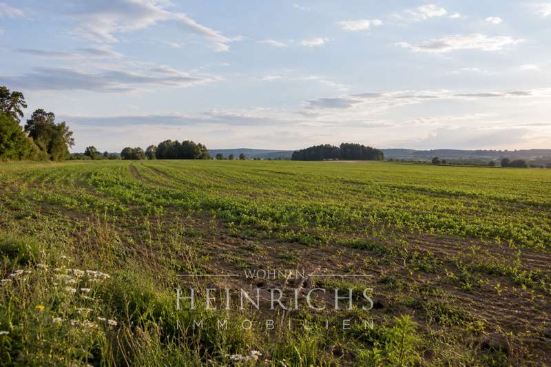 Grundstück Moosach - 53.000&euro; | Angebot:27359276