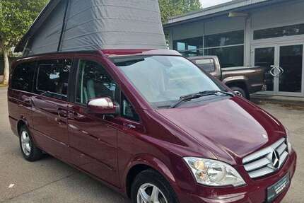 Mercedes Viano
