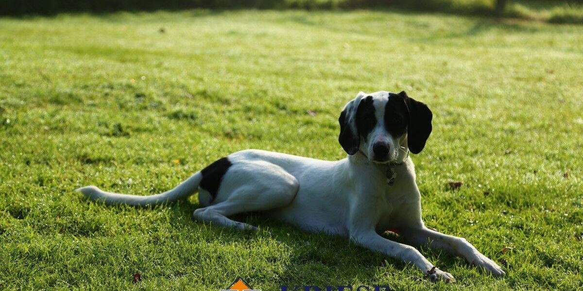 Grundstück Germering Unterpfaffenhofen - 600.000&euro; | Angebot:25705275