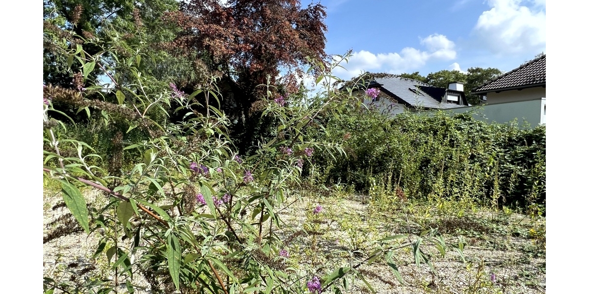 Ihr Traum vom Eigenheim: Großzügiges Baugrundstück in ruhiger Lage für ein schönes Einfamilienhaus - Grundstück Eichenau | Angebot:27189195