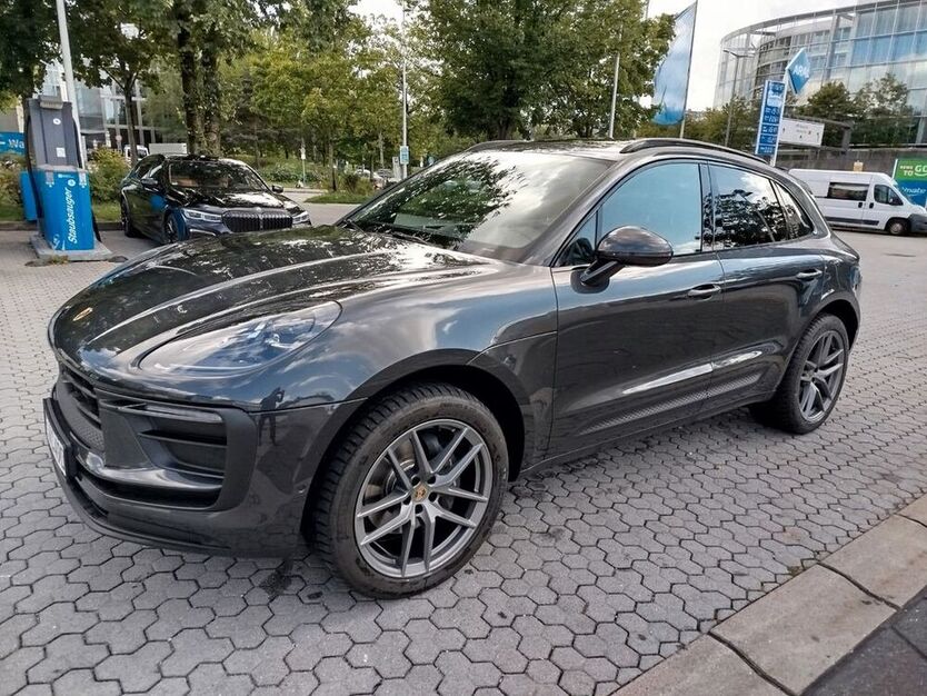 Macan