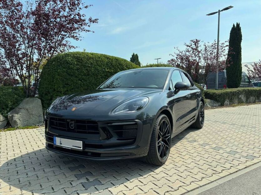Macan