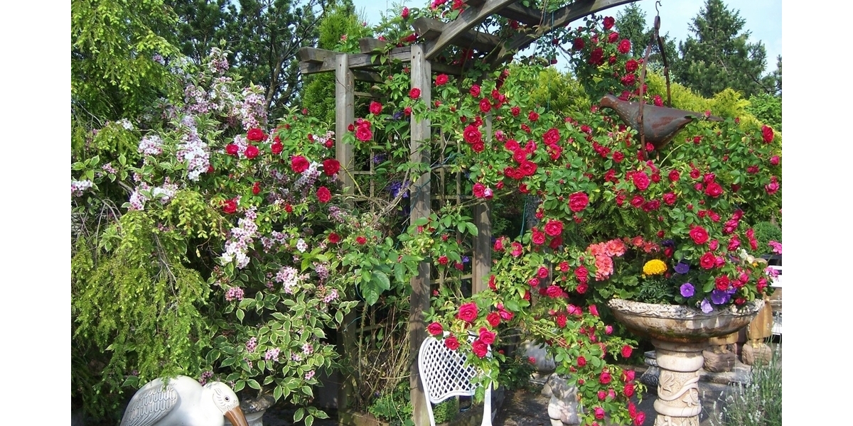 Terrassenjuwel mit Freiraum über den Dächern 5 zimmer