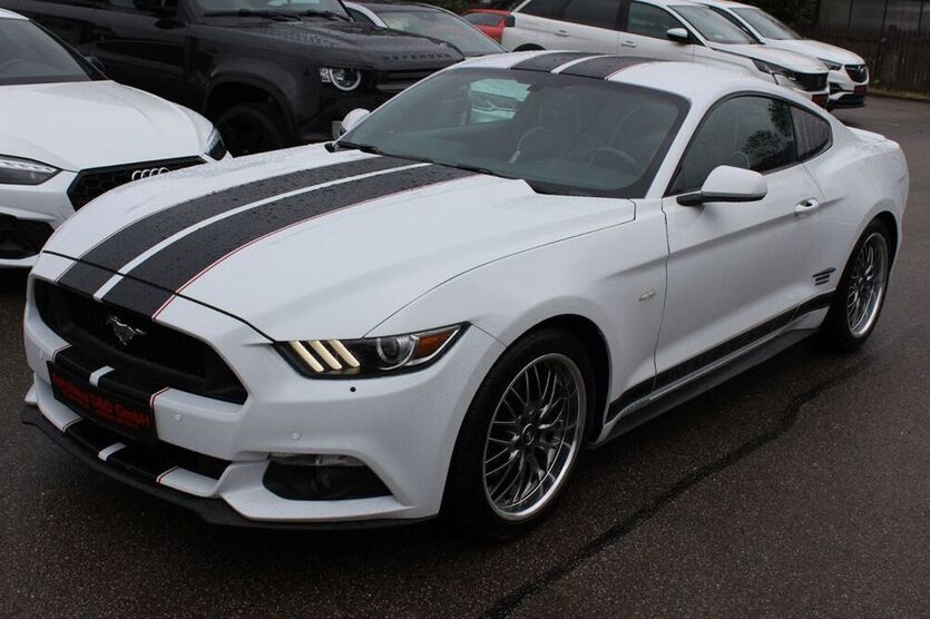 Mustang