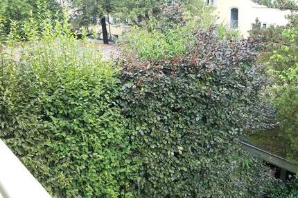 Wohnung München Sendling-Westpark - 2 Zimmer, 55 m&sup2;, 1.195&euro; | Angebot:26048391