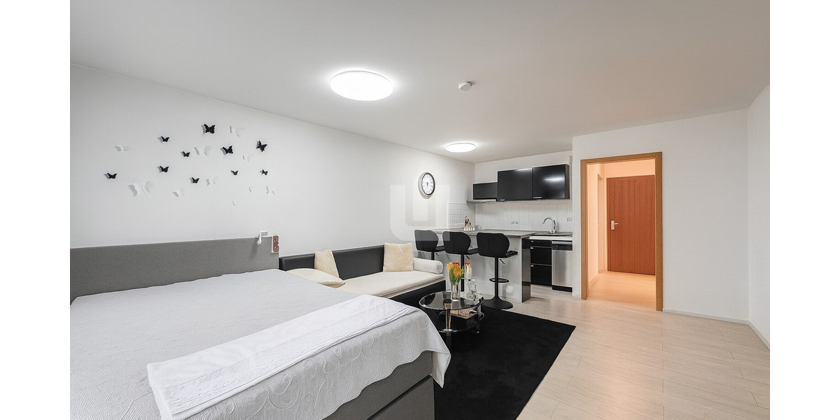 WINDISCH - Gepflegtes 1-Zi.-Appartement mit Balkon als solide Kapitalanlage im Herzen von Buchenau 1 zimmer