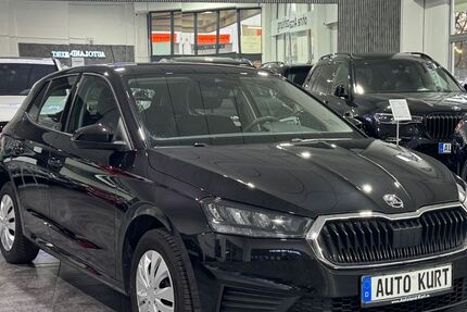 Skoda Fabia 96.176 km 10.990 &euro; München 81829