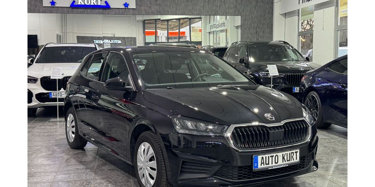 Skoda Fabia 96.176 km 10.990 &euro; München 81829
