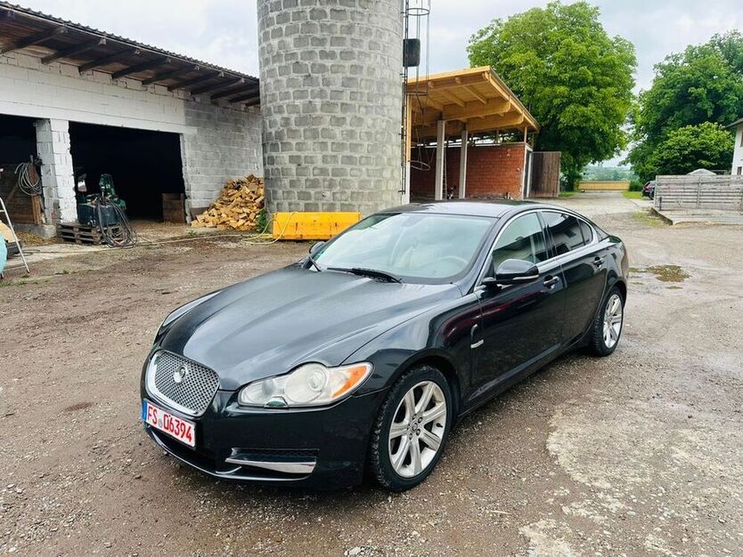 XF