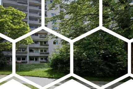 München: Großzügige helle Wohnung im Grünen von Großhadern 3 zimmer