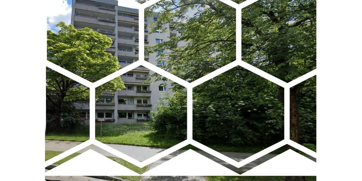 München: Großzügige helle Wohnung im Grünen von Großhadern 3 zimmer