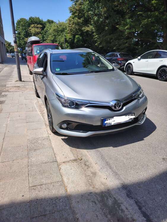 Auris