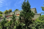 Dachterrassentraum am Englischen Garten - Dachgeschoßwohnung München Schwabing-Freimann | Angebot:27097072