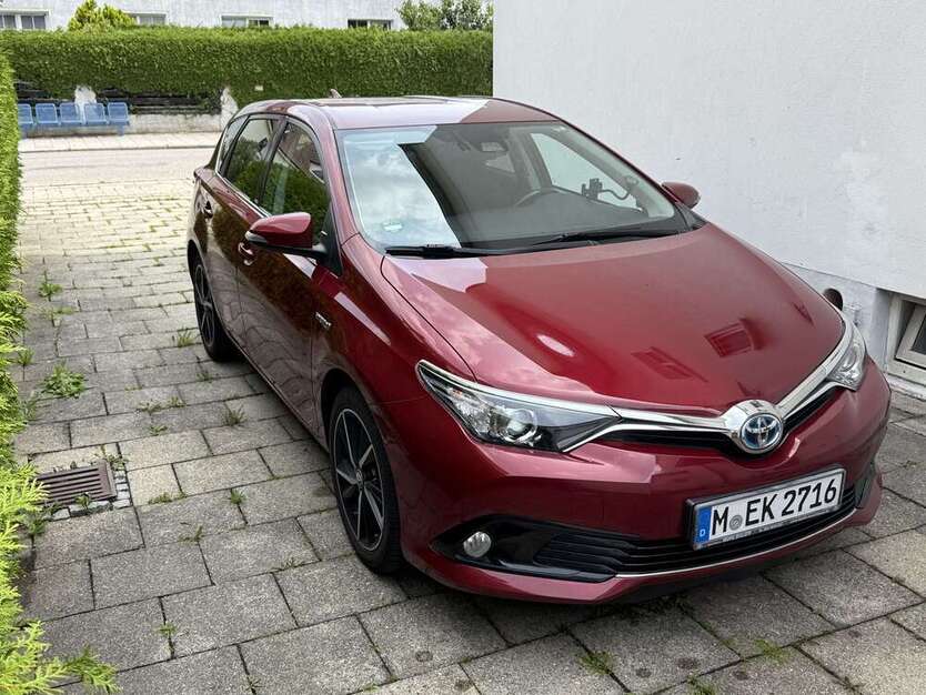 Auris