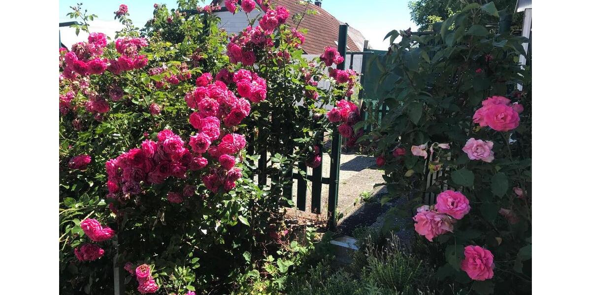 Einfamilienhaus München Au-Haidhausen - 4 Zimmer, 70 m&sup2;, 235.000&euro; | Angebot:26124143