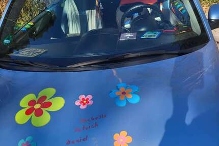 VW New Beetle 250.666 km 666 &euro; Taufkirchen 82024