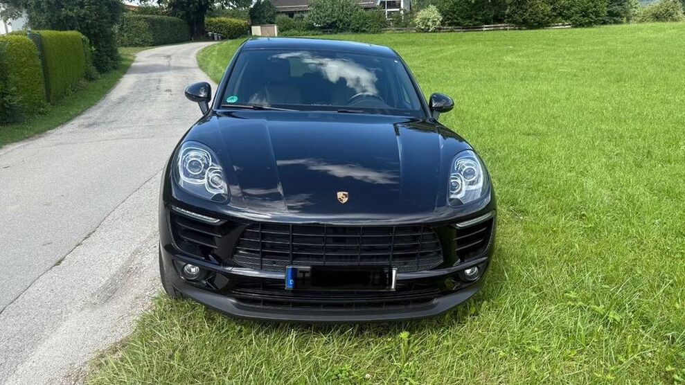 Macan