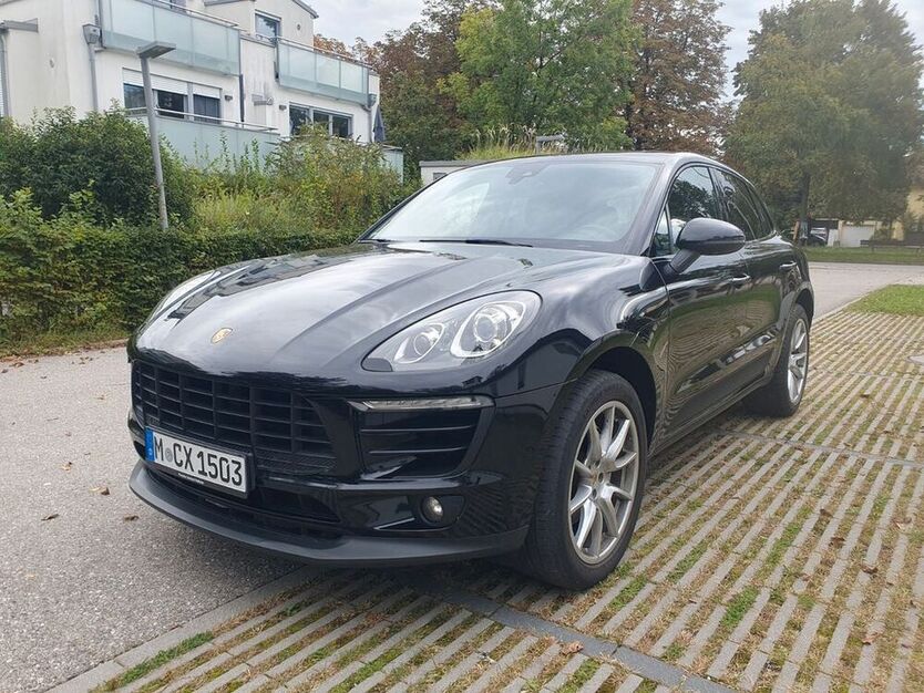 Macan