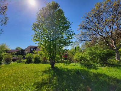 IHR RUHIGES PLÄTZCHEN IN DER SONNE - Grundstück Weßling | Angebot:25248165