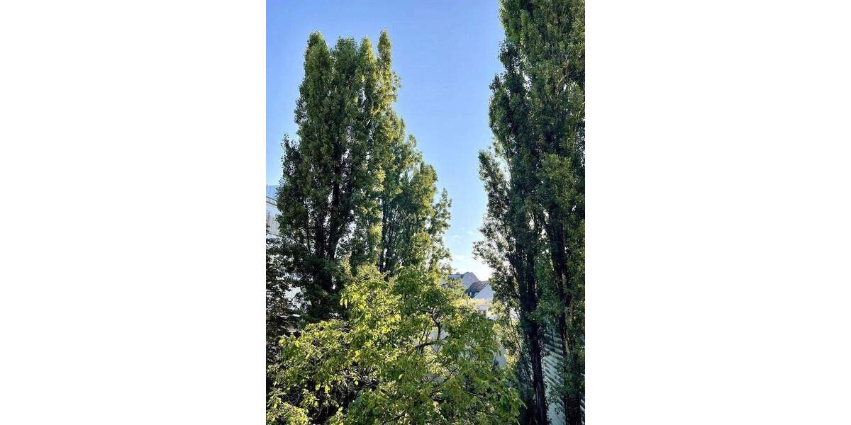 Lehel am Isartor. Zentrale Bestlage. Neu hochwertig möblierte 4 Zimmer. Großer Garten. Ab 3 Monate 4 zimmer