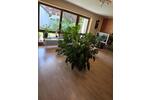 Reihenhaus Vaterstetten Baldham - 4 Zimmer, 133 m&sup2;, 890.000&euro; | Angebot:27132755