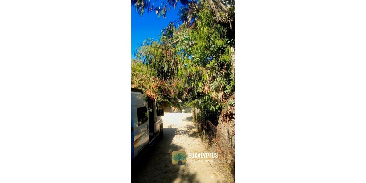 Einfamilienhaus München Am Hart - 2 Zimmer, 40 m&sup2;, 39.000&euro; | Angebot:25510300