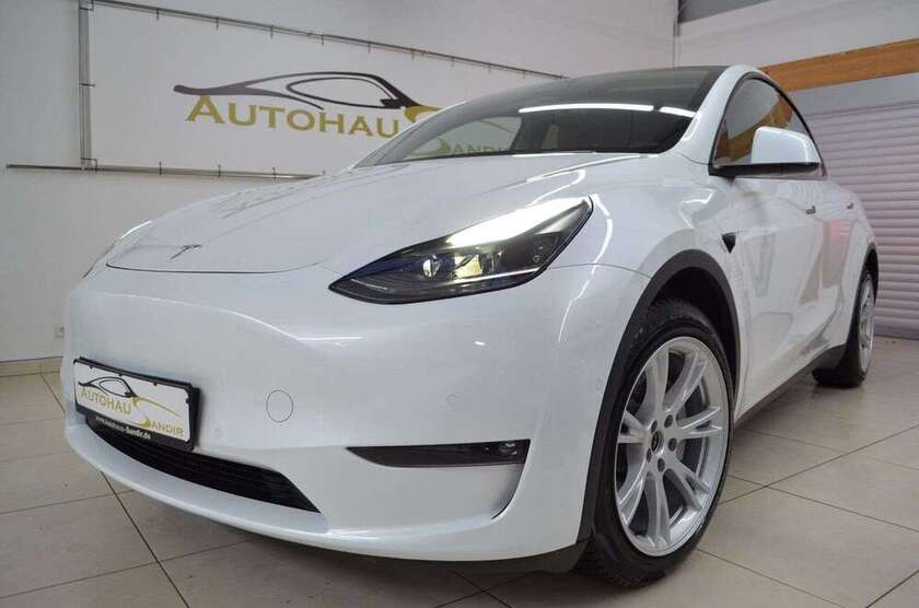 Model Y