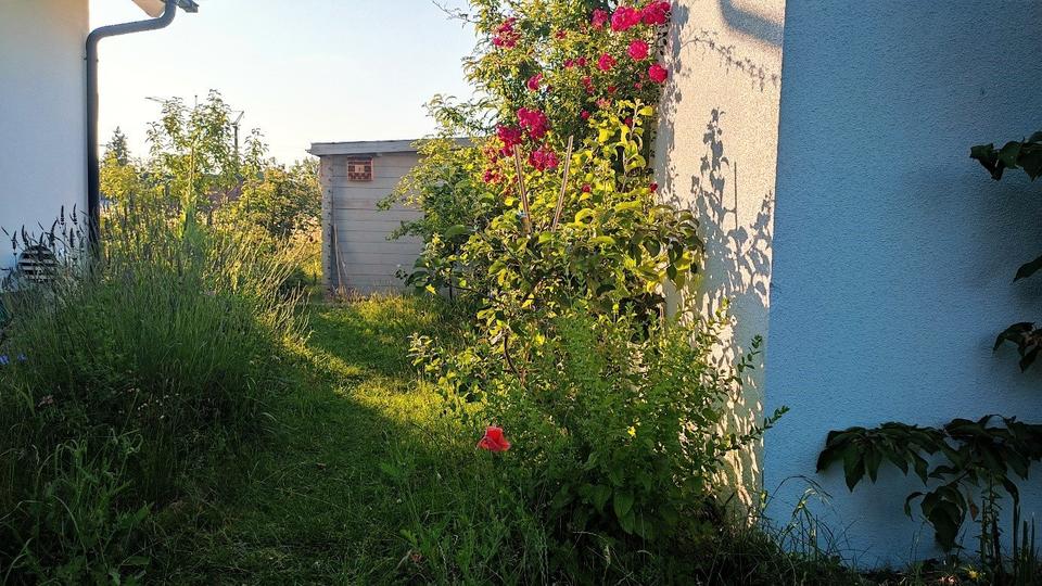 Etagenwohnung München Feldmoching-Hasenbergl - 4 Zimmer, 100 m&sup2;, 665.000&euro; | Angebot:26303109