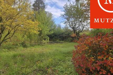 MUTZHAS - Grundstück für EFH oder DHH zimmer