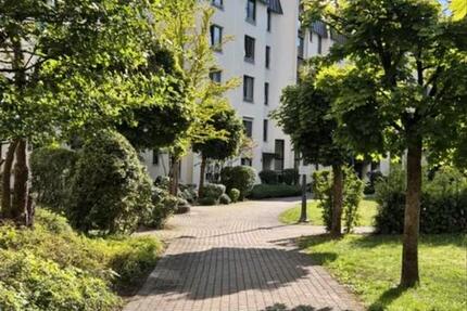 Moderne barrierefreie 2 Zi. Wohnung mit Balkon sofort bezugsfrei 2 zimmer