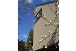 Dachgeschoßwohnung München Trudering-Riem - 3 Zimmer, 72 m&sup2;, 1.630&euro; | Angebot:26684029