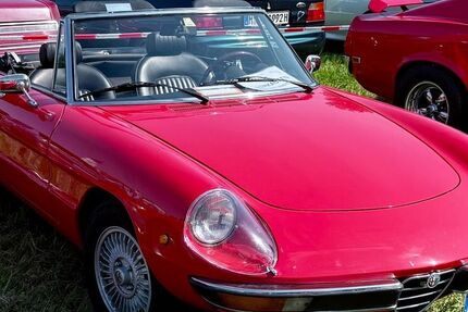 Alfa Romeo Spider