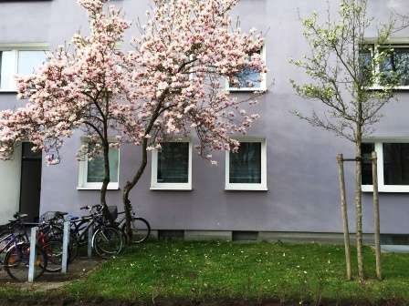Wohnung zum Mieten in München 834 € 30.92 m²