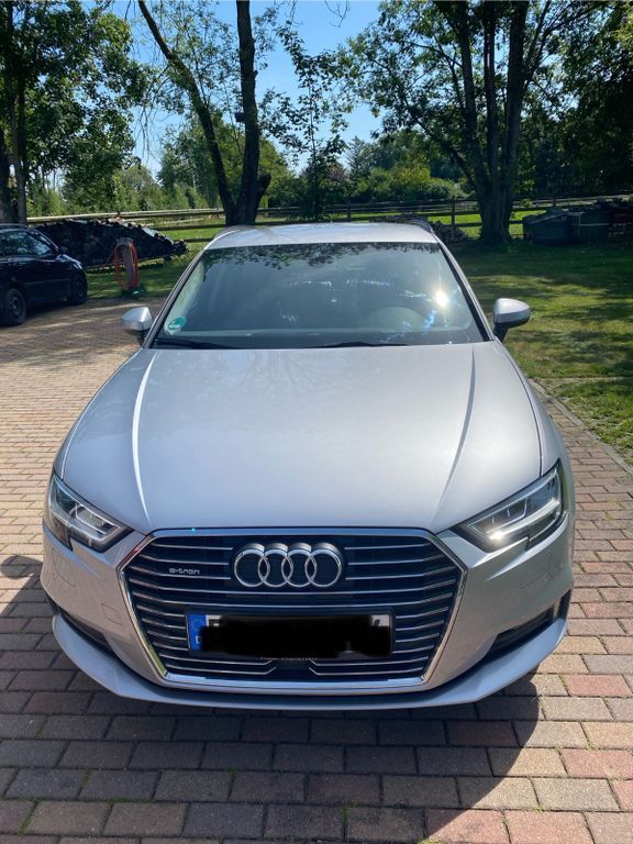 A3