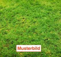 Grundstück zu verkaufen in München 1.855.000 € 829 m² zimmer