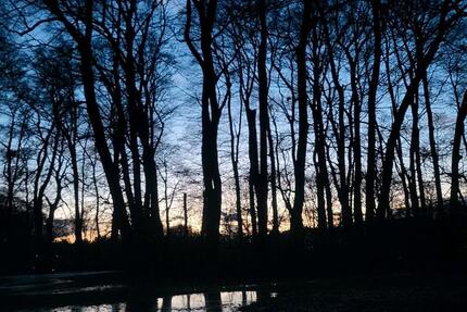 Biete möbliertes Zimmer in WG von 15. März bis 15. April 2026 1 zimmer