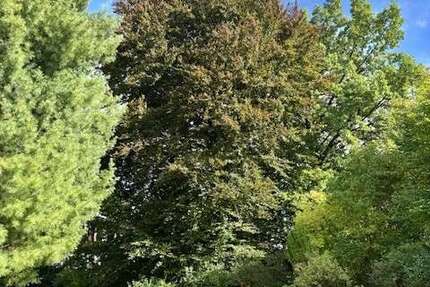 Grundstück München Ramersdorf-Perlach - 1.190.000&euro; | Angebot:25638959