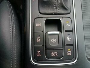 Kia SORENTO 2.2D AWD AT8 PLATINUM Pano HeadUp AHK 59.902 km 27.460 &euro; Höhenkirchen-Siegertsbrun 85635