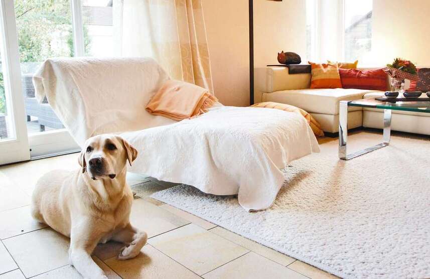 Haus zum Kaufen in Ottenhofen 1.100.000 € 195 m²