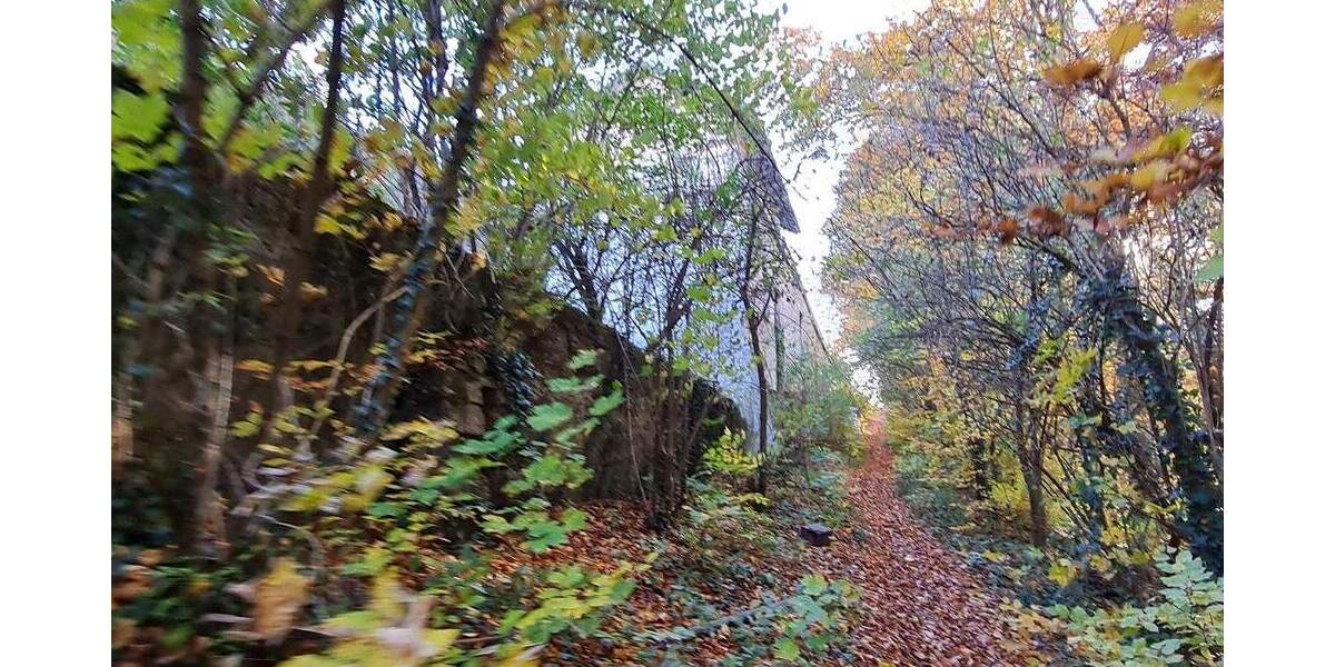 Grundstück Grünwald - 6.000.000&euro; | Angebot:25748750