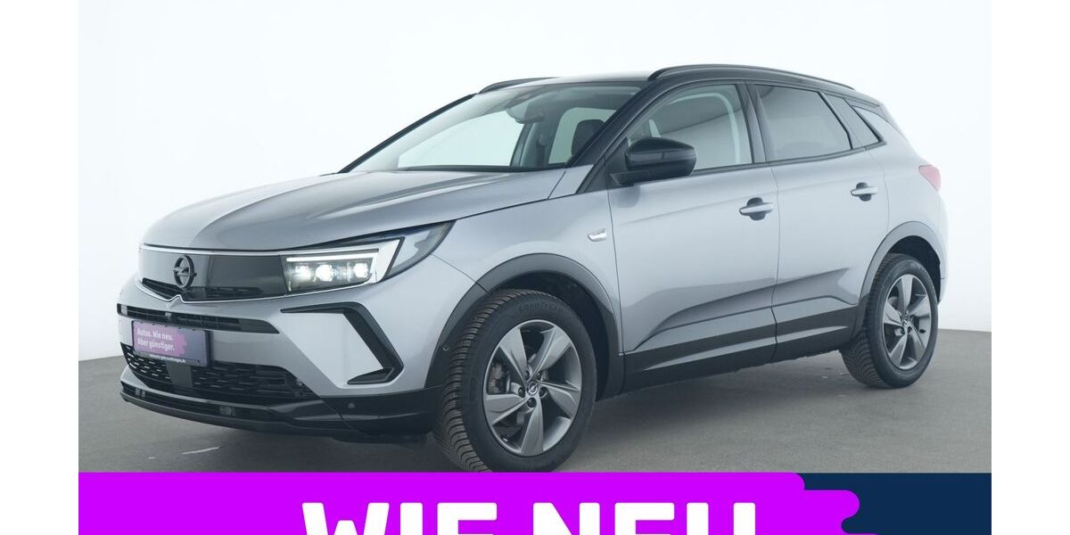 Opel Grandland (X) 21.093 km 19.536 &euro; Garching bei München 85748