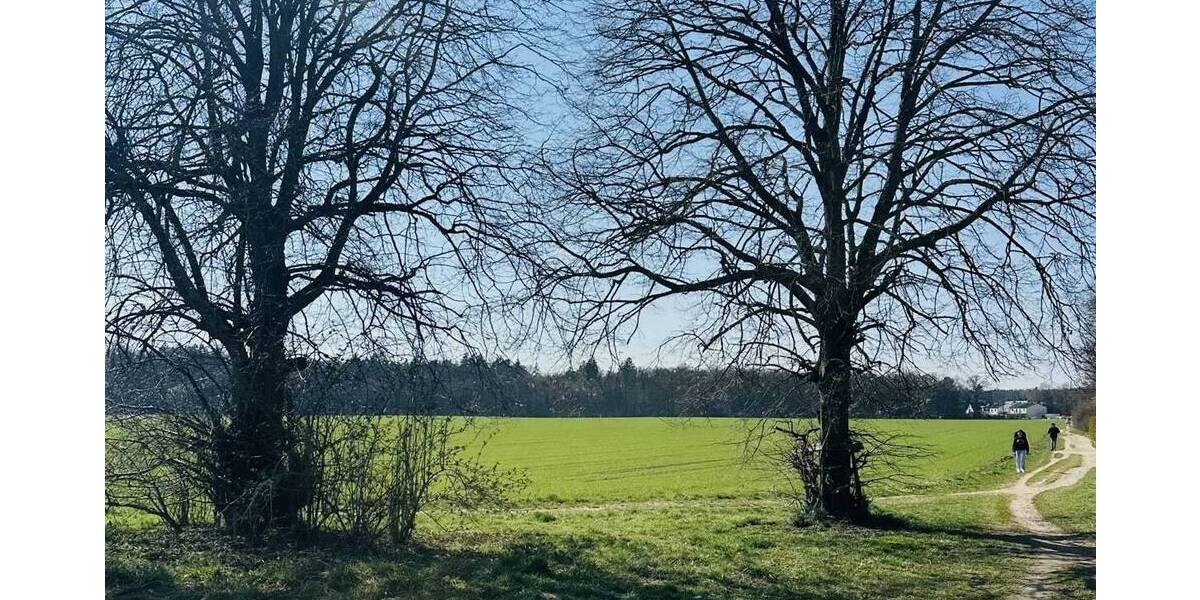 Etagenwohnung München Thalk.Obersendl.-Forsten-Fürstenr.-Solln - 2 Zimmer, 48 m&sup2;, 345.000&euro; | Angebot:26160778