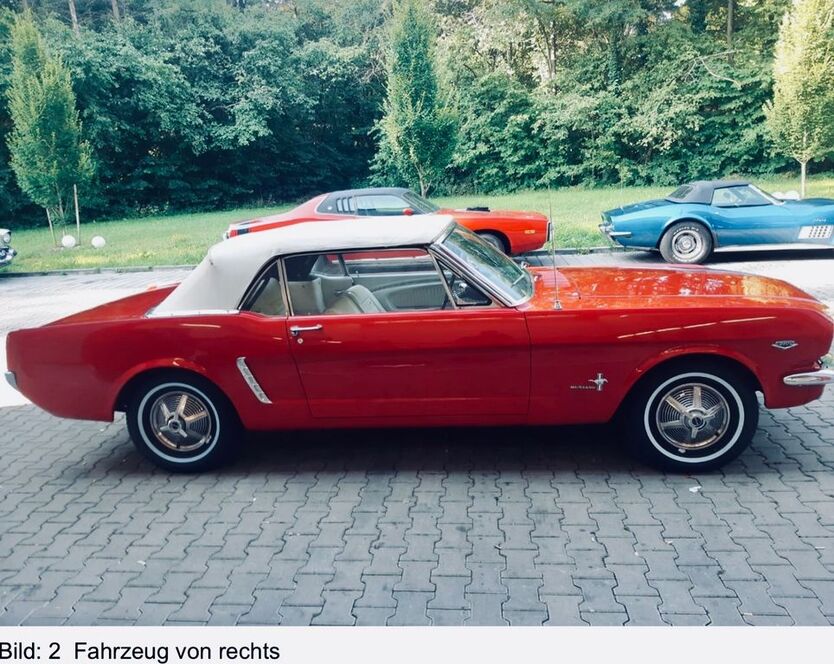 Mustang